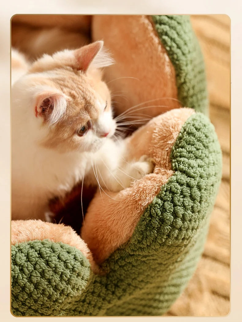 Letto invernale Cactus per animali domestici - StirPaw™
