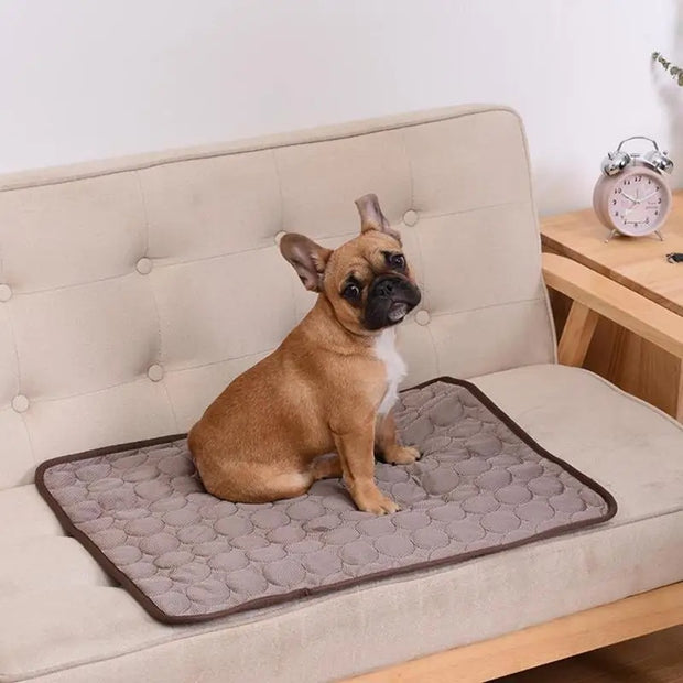 Tappeto rinfrescante per animali domestici - StirPaw™